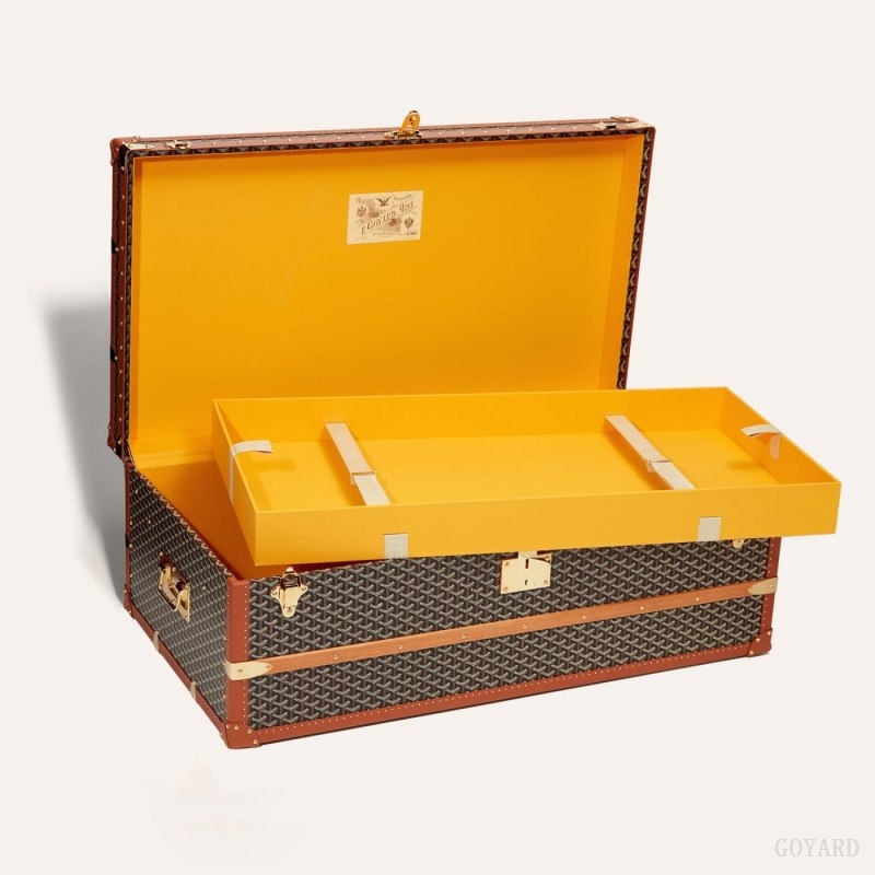 Black / Brown Goyard CABINE TRUNK | NGNT2162