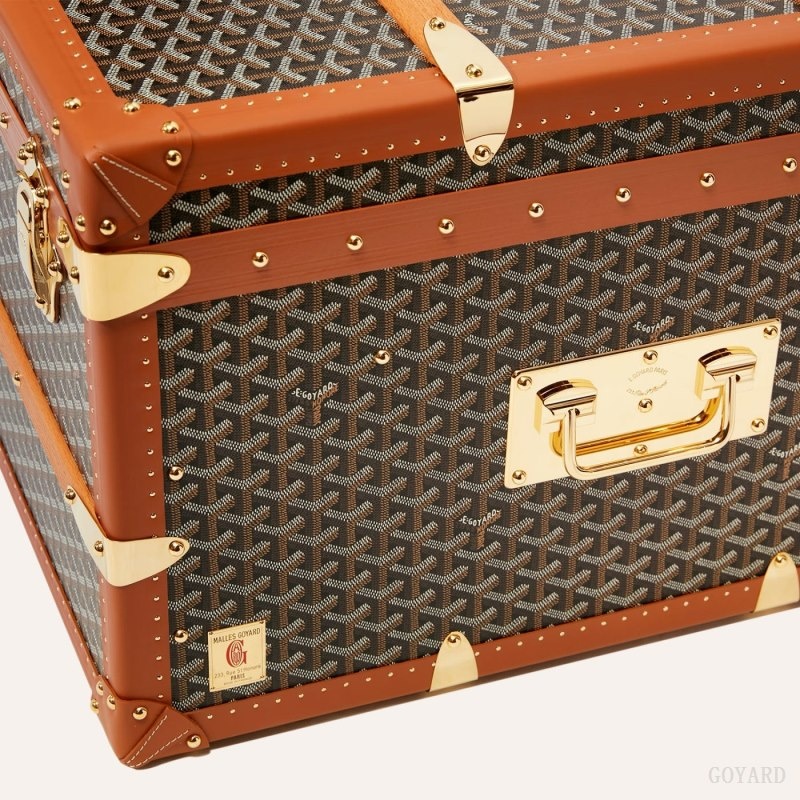 Black / Brown Goyard CABINE TRUNK | NGNT2162