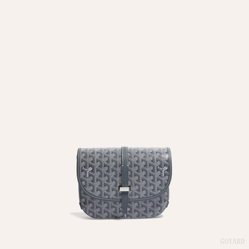 Grey Goyard Belvedere PM Bag | PXYR8470