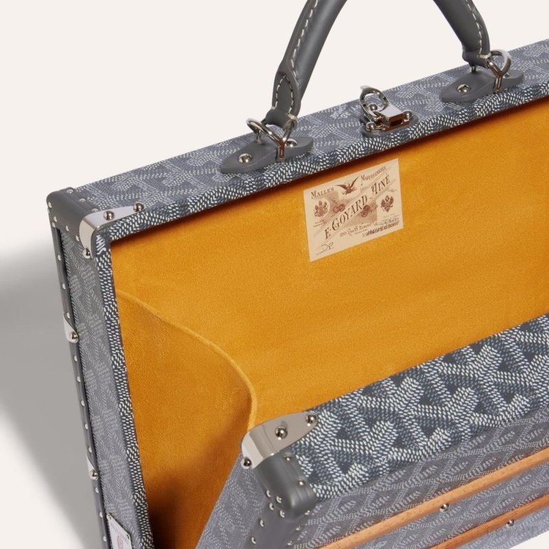 Grey Goyard PALACE MM TRUNK BAG | EDFI5754